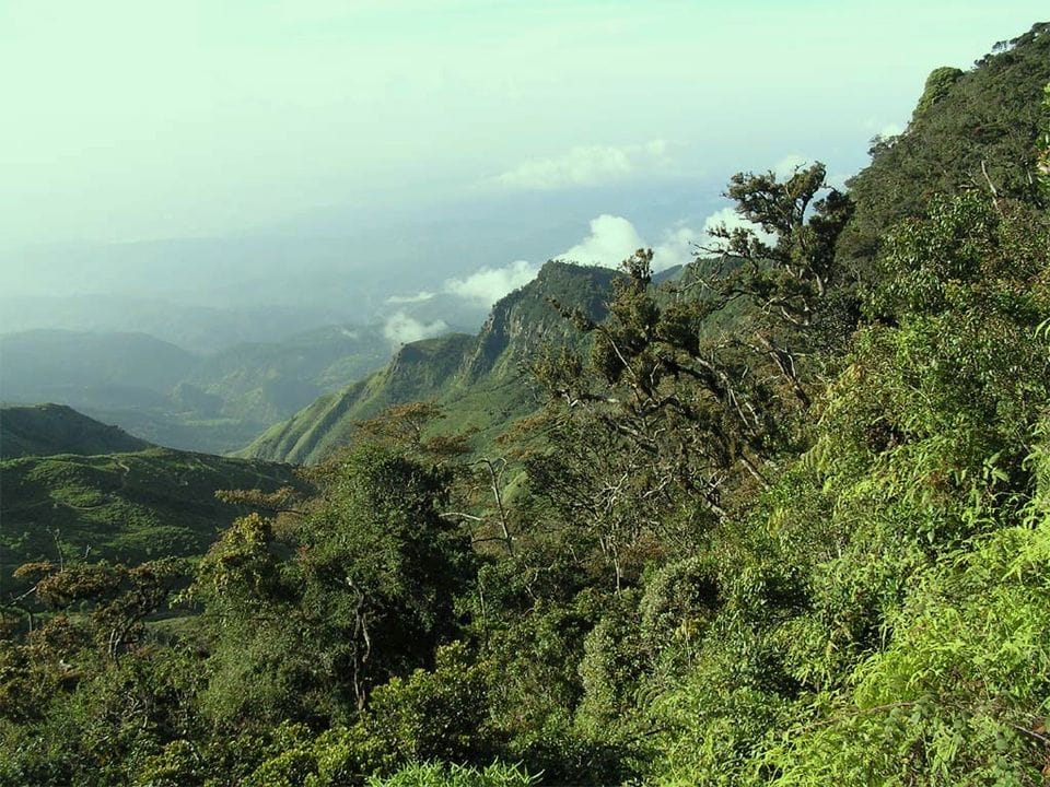Trekking at the Beautiful Horton Plains