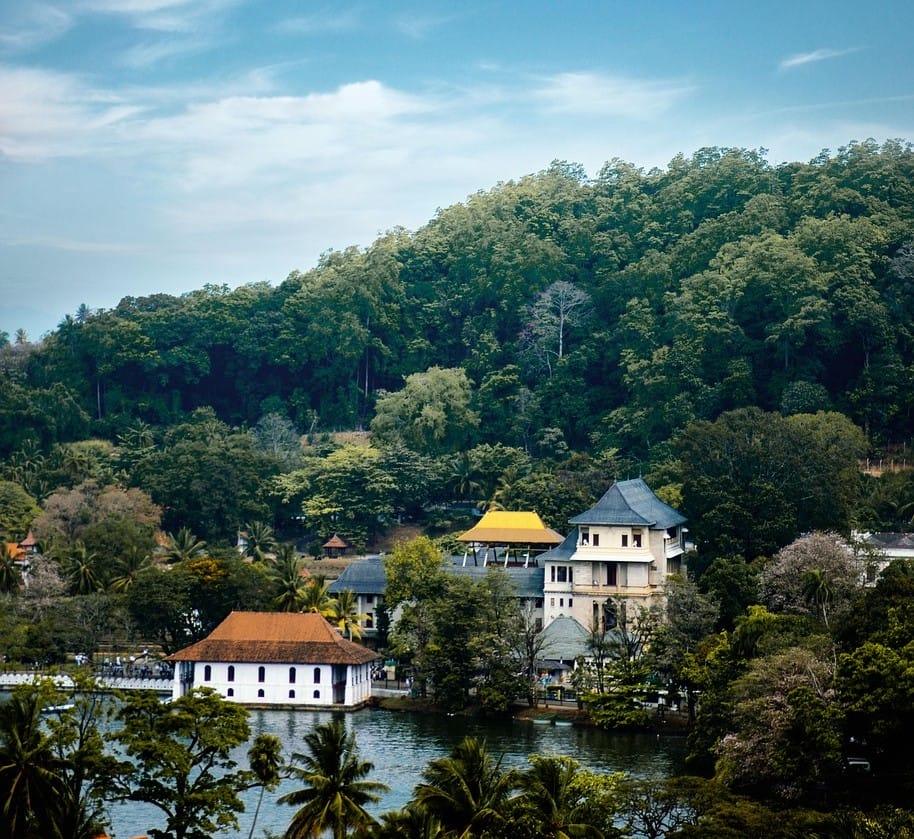 Udawattakele Sanctuary in Kandy City
