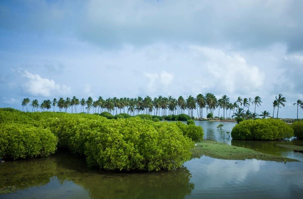 Kalpitiya Lagoon: A Tourist Paradise of the North-Western Sri Lanka