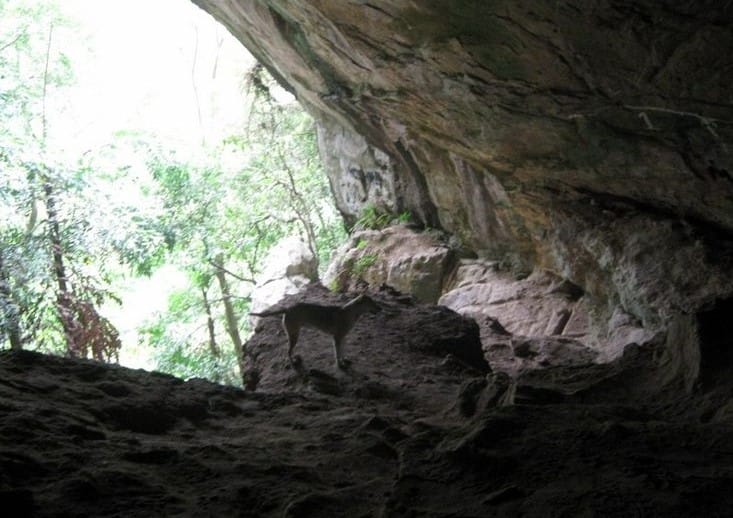 Unveiling the Mysteries of Ravana Cave: A Must-Visit Destination for Ramayana Tour Seekers in Ella