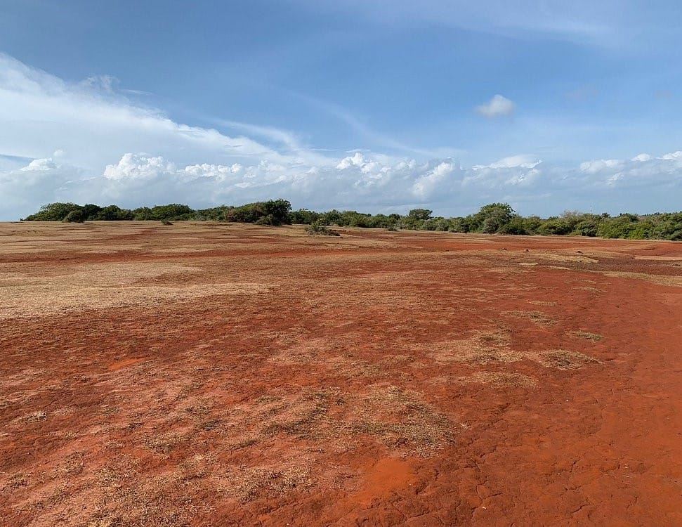 Discover the Amazing Ussangoda National Park