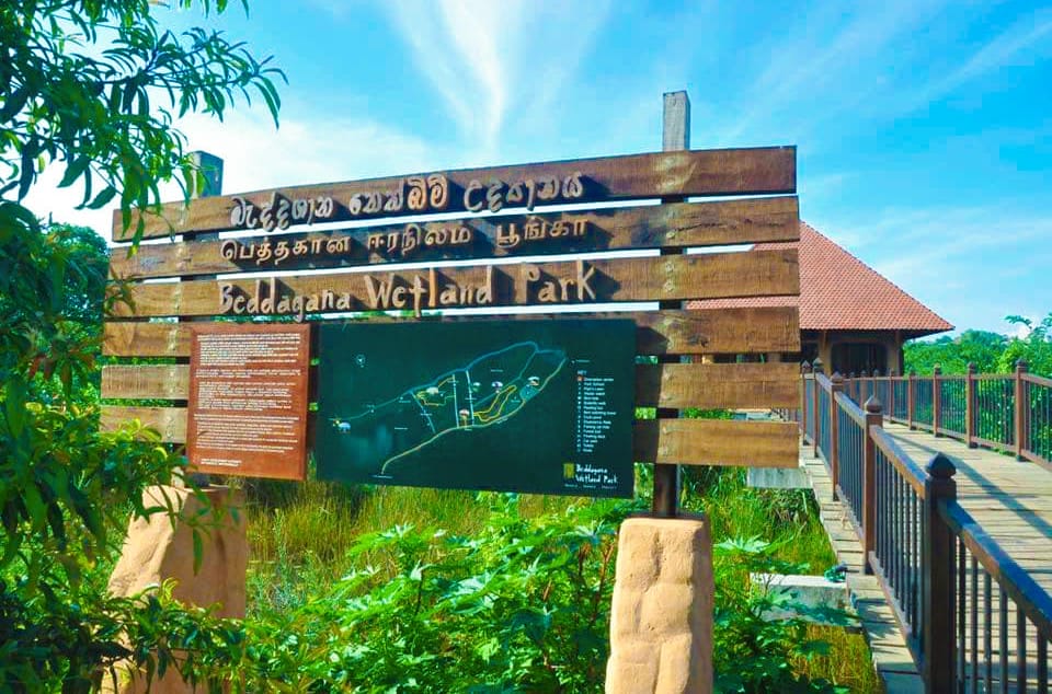 Exploring Beddagana Wetland Park: A Peaceful Getaway in Colombo