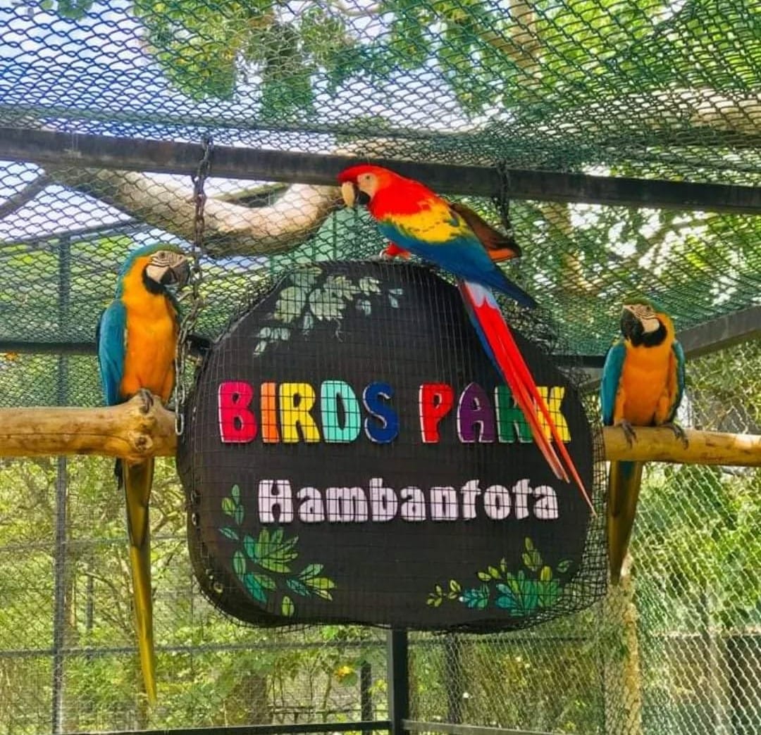 Soaring into Paradise: Discovering the Splendors of Hambantota Bird Park