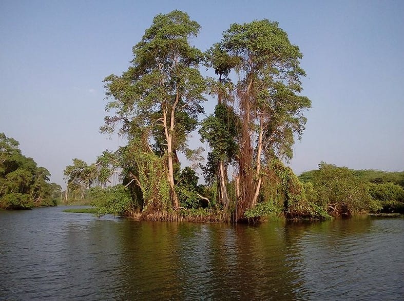 Walawe River Safari: A Journey into Southern Sri Lanka’s Natural Splendor