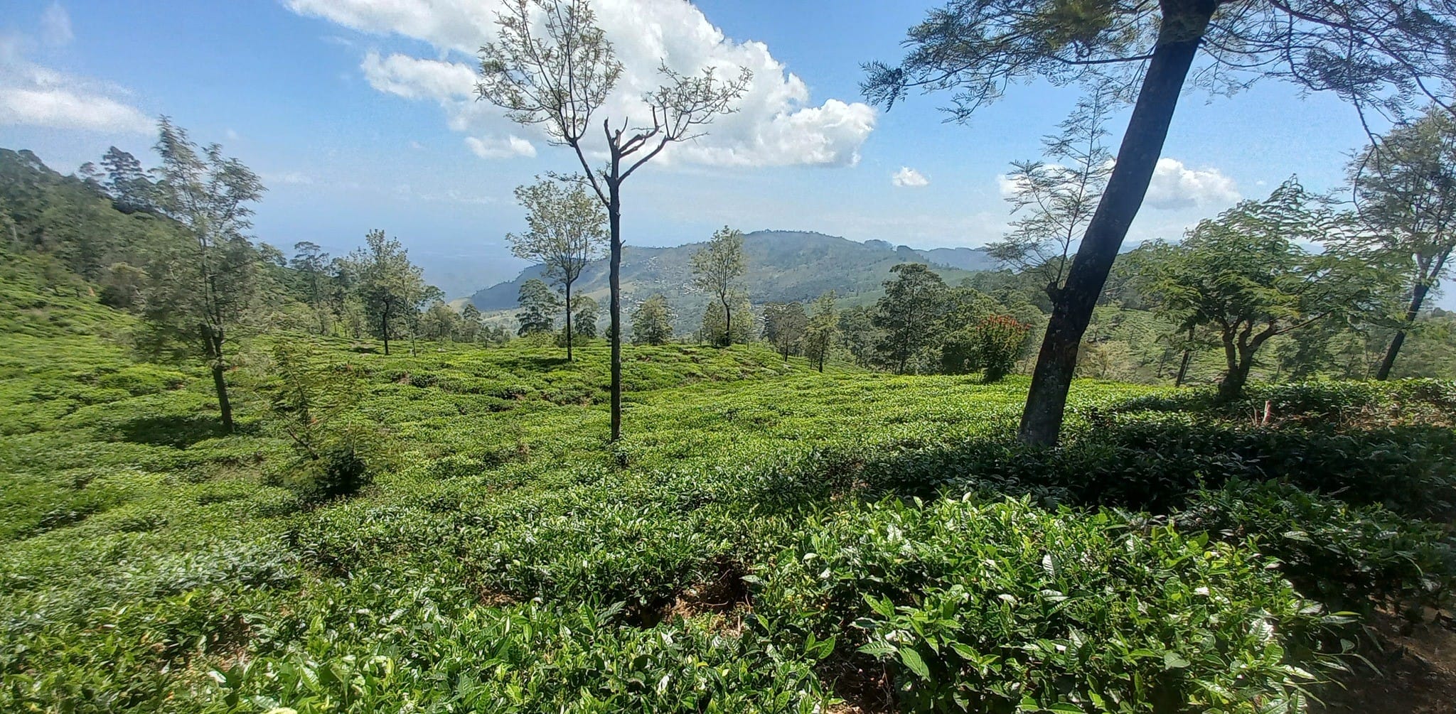 The Pekoe Trail in Sri Lanka