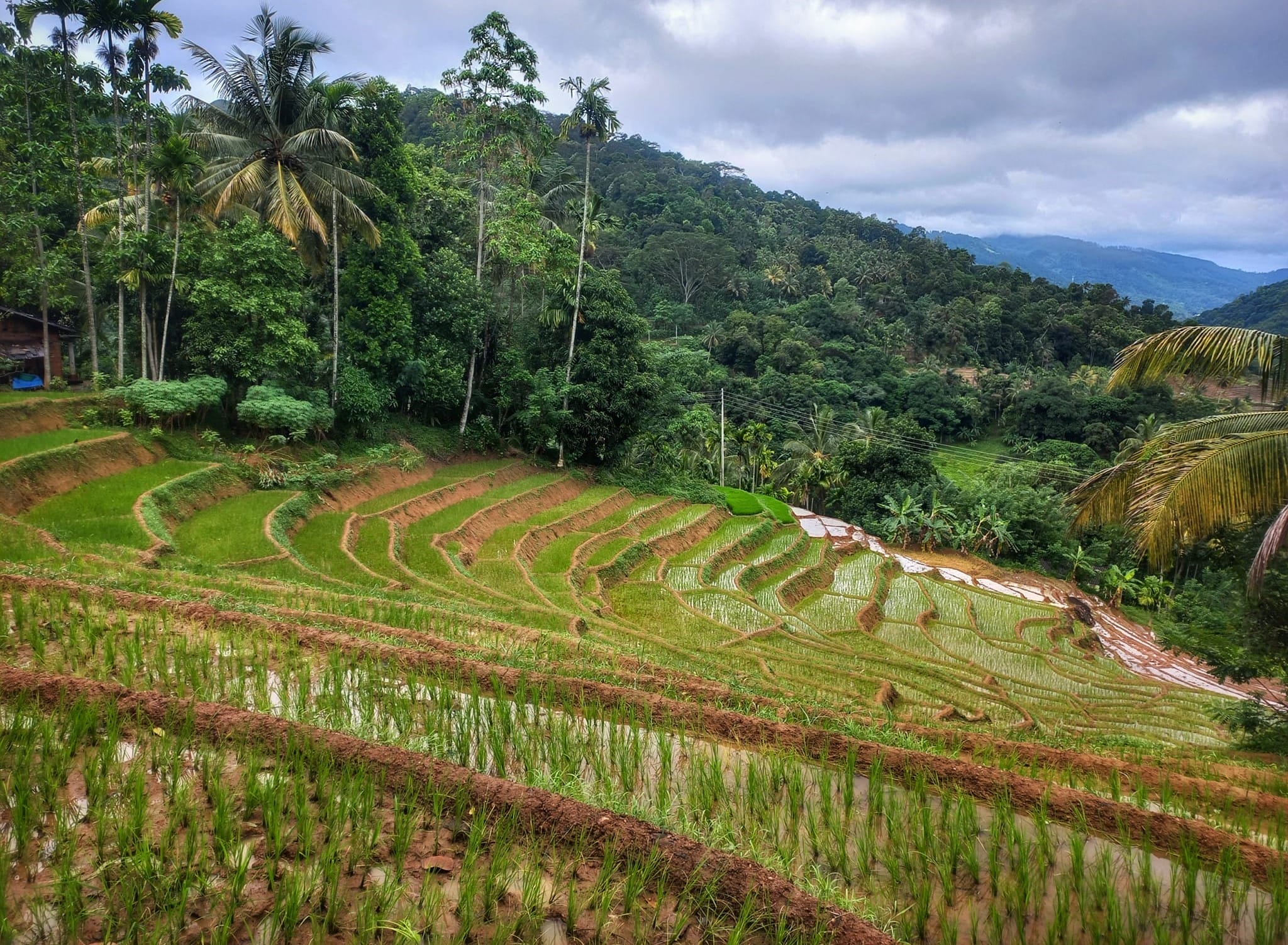 Heel Oya Tourism Village: A Slice of Authentic Sri Lankan Life