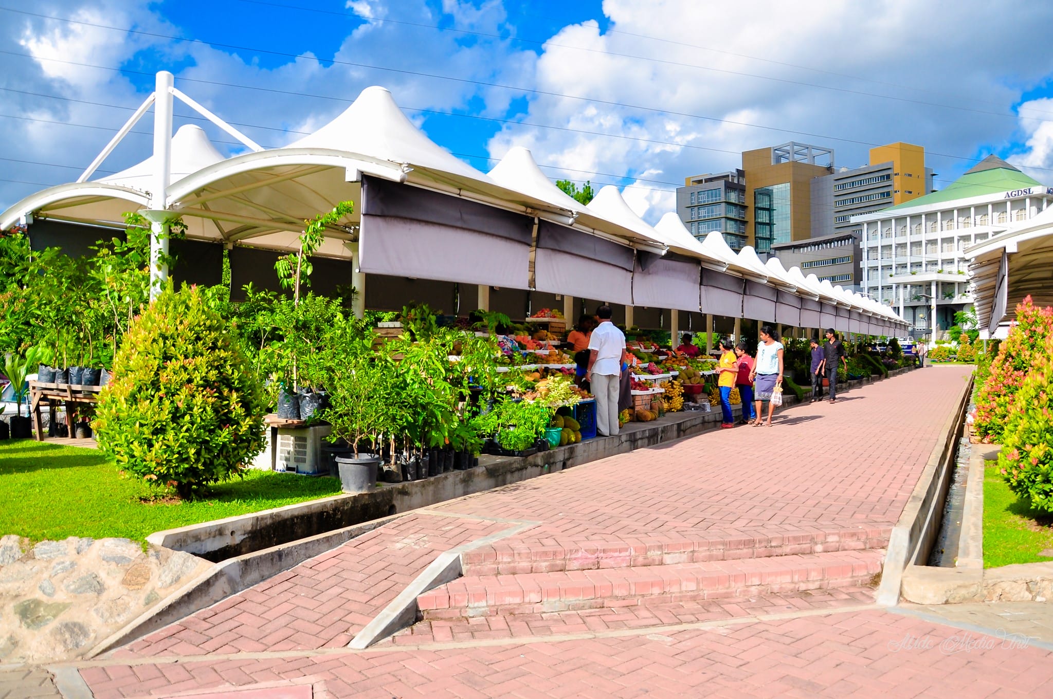 Discover Serenity in the Heart of Colombo: A Journey to Diyatha Uyana