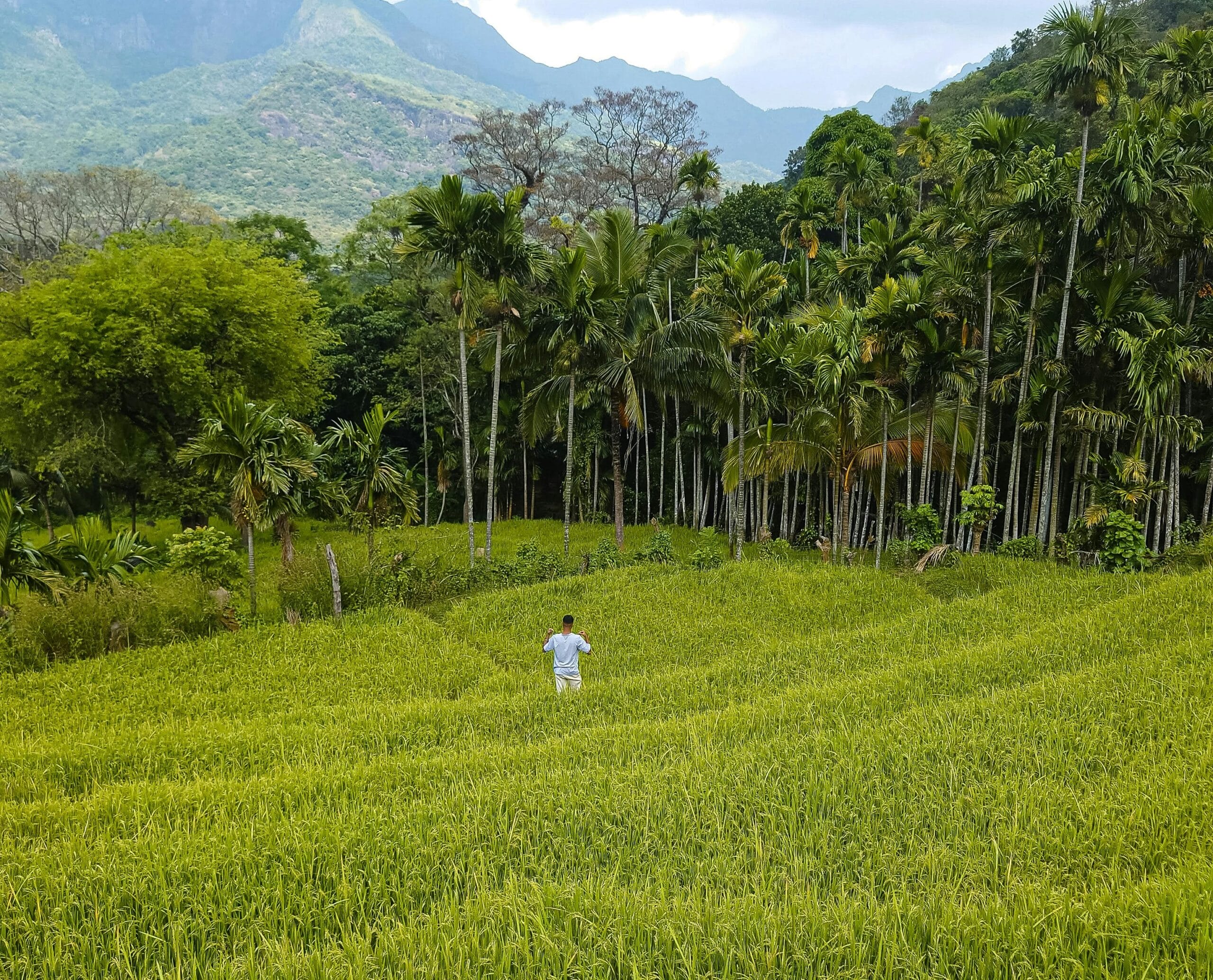 Accommodation Options in Sri Lanka | Where to Stay in Sri Lanka?