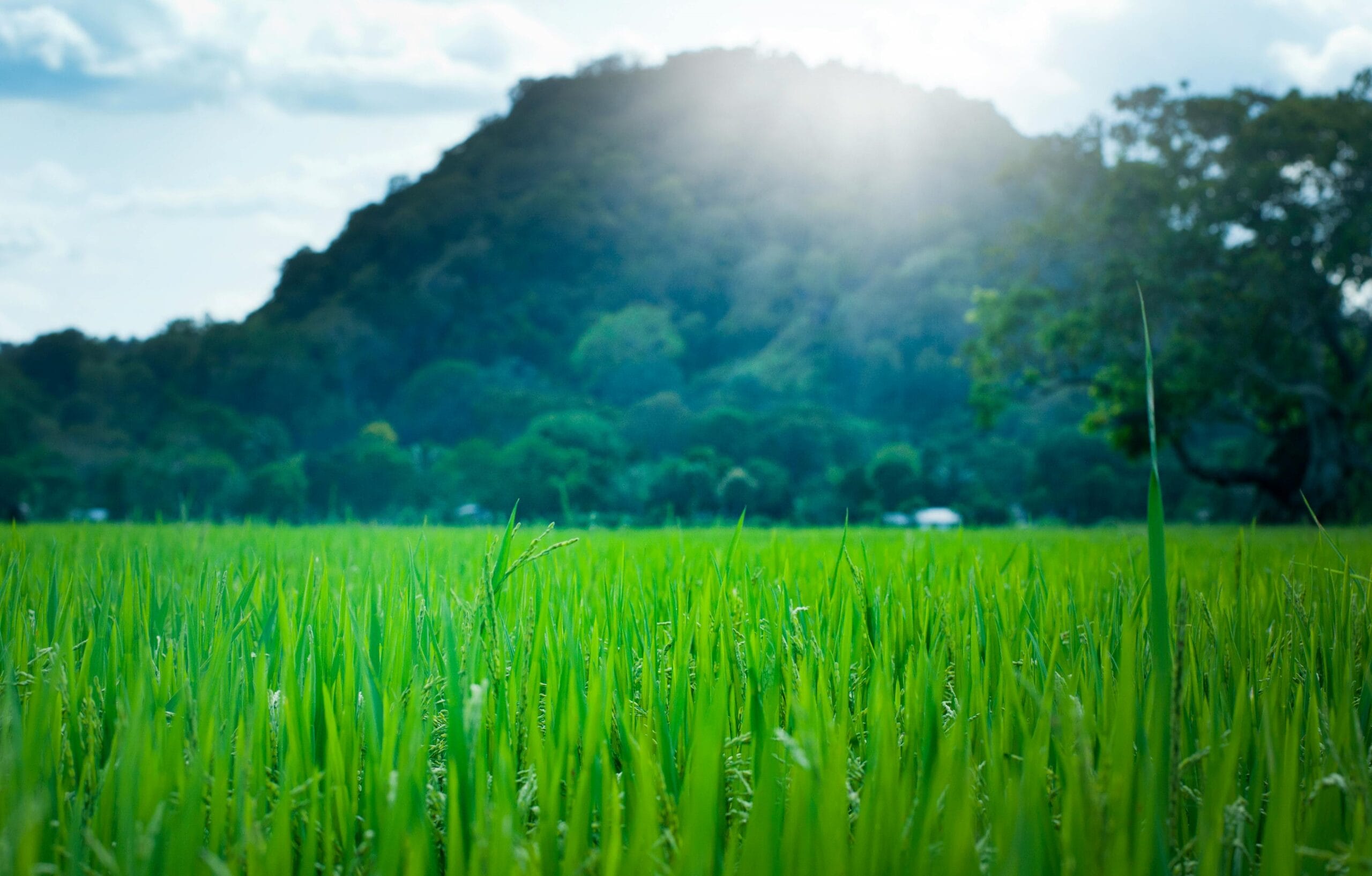 Sri Lanka Weather in April: A Detailed Guide for Tourists