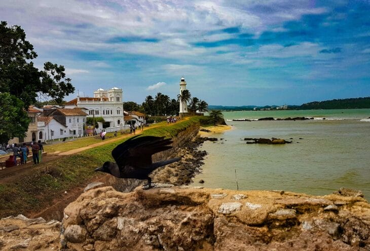 Galle-1