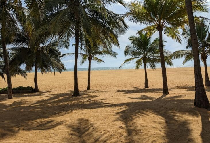 Negombo-Beach