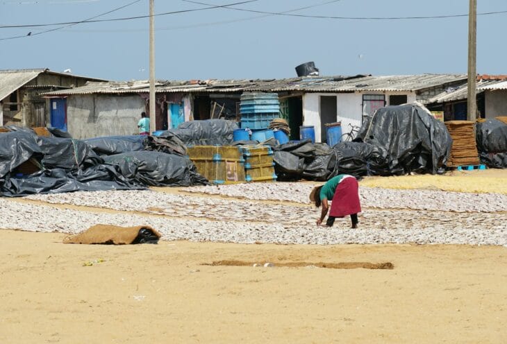 Negombo-Fish-Market-2