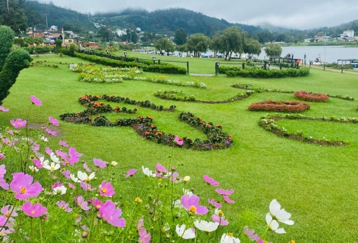 Gregory-Park-Nuwara-Eliya