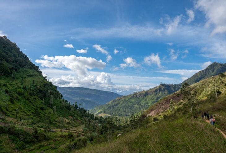 Hike to the Knuckles mountain range 5