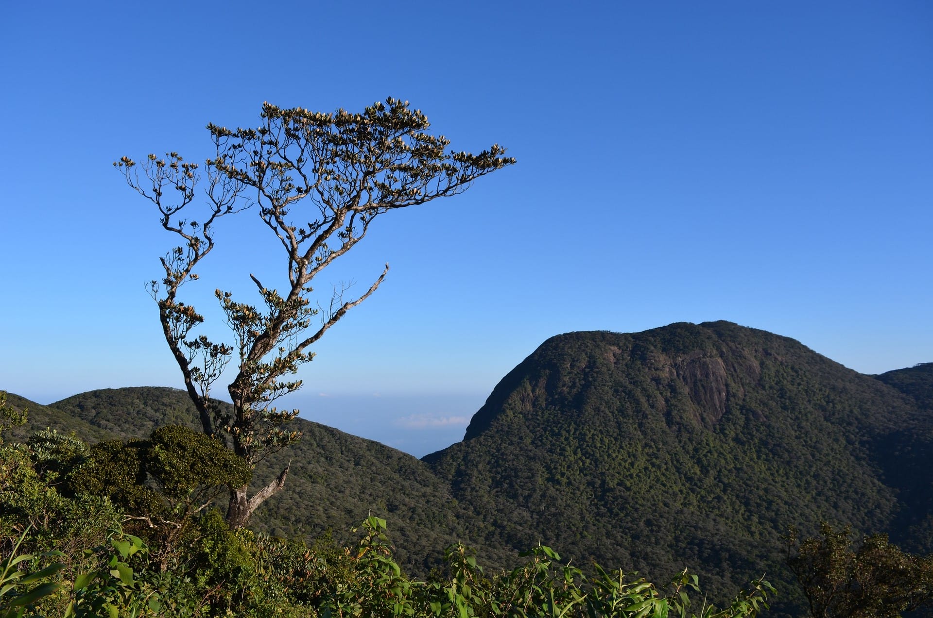 Hike to the Knuckles mountain range