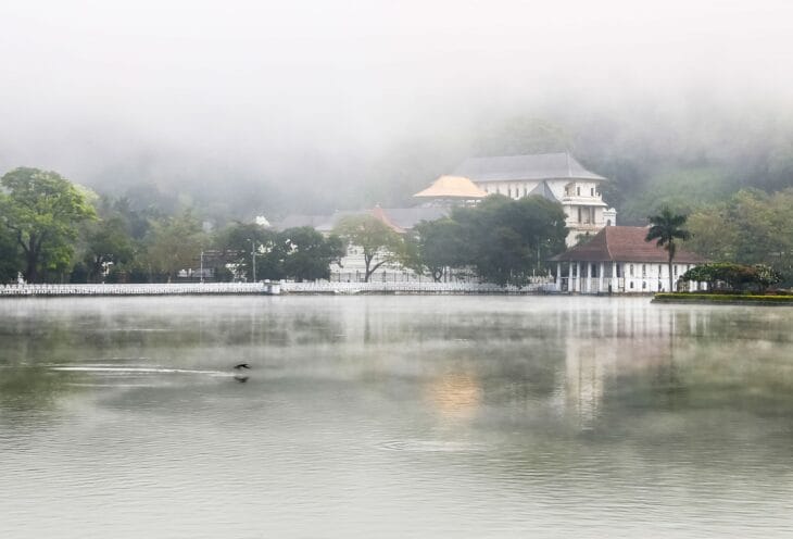 Misty-Kandy