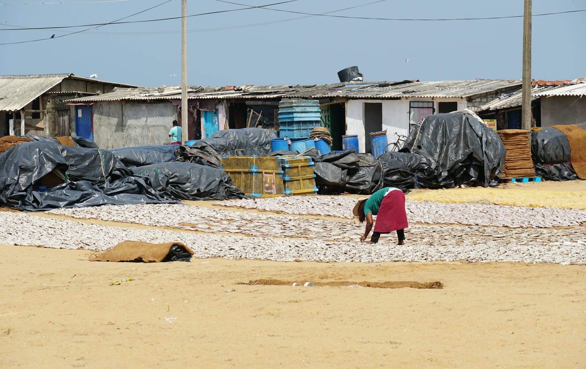 Negombo Fish Market