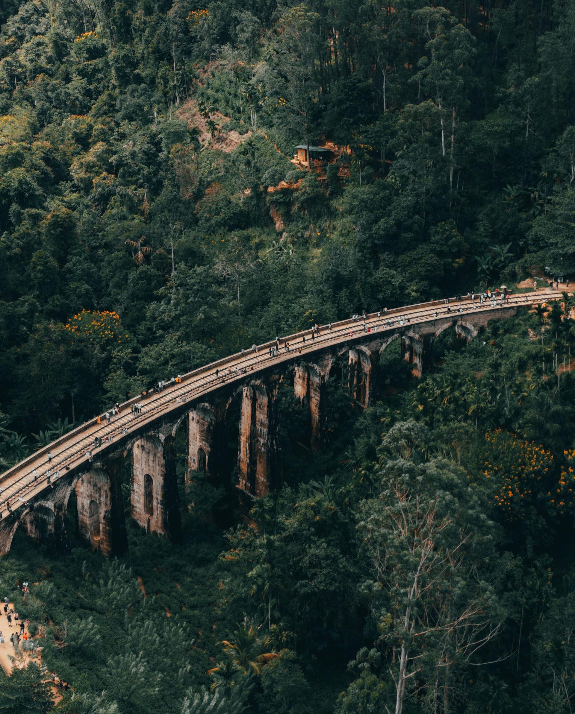 Nine Arch Bridge in Demodara