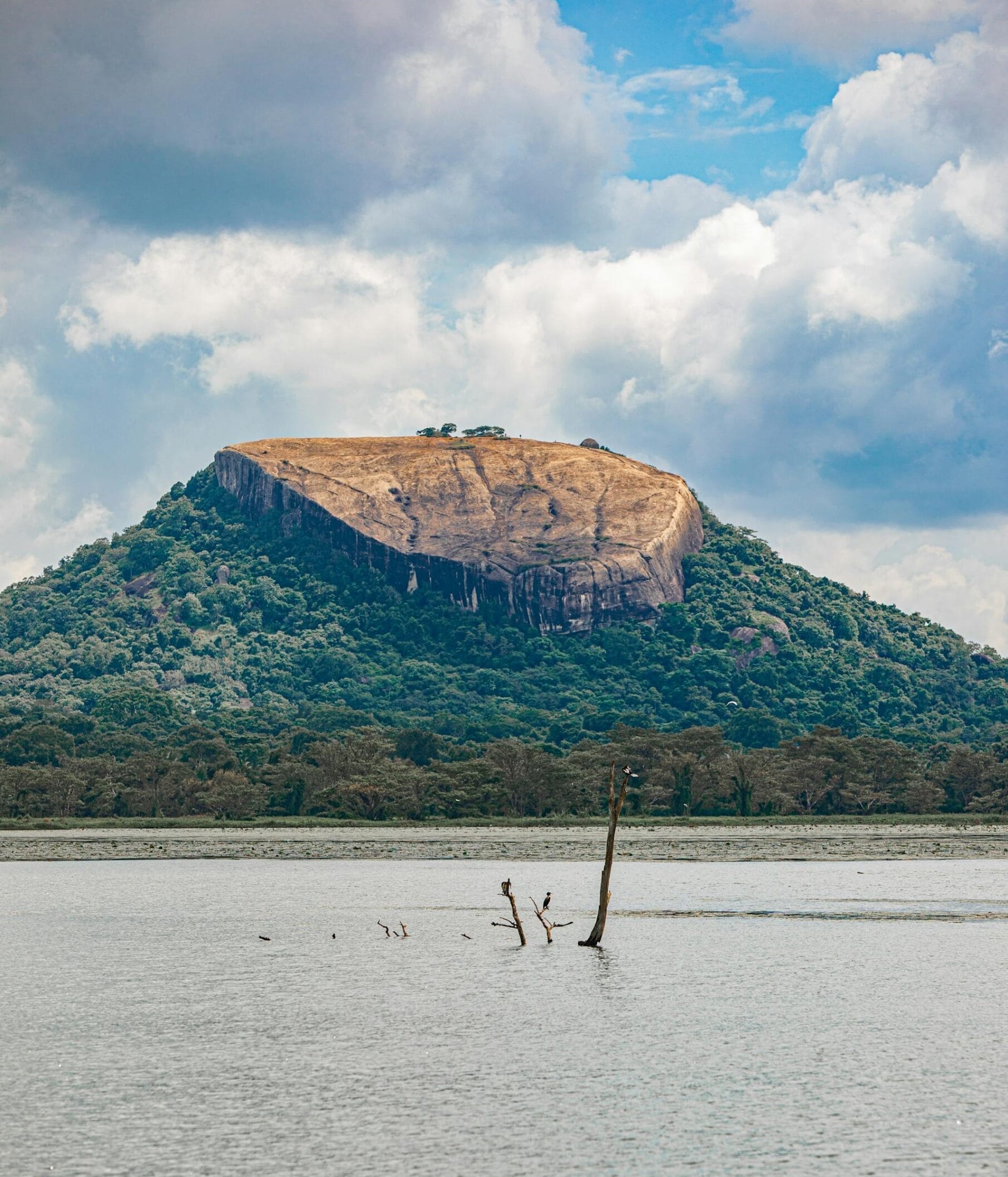 Hike to Pidurangala Rock in Sigiriya