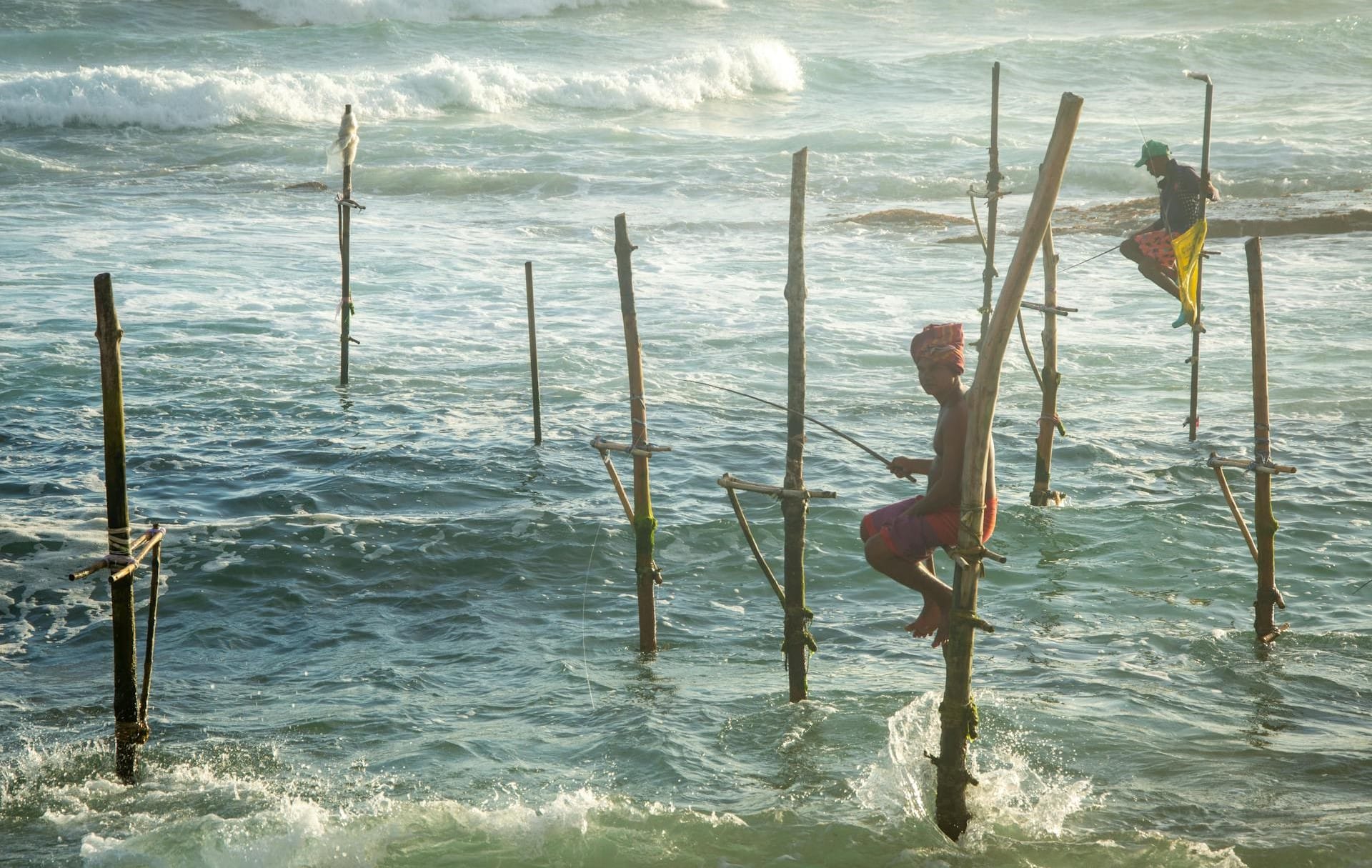 Stilt Fishing in Sri Lanka
