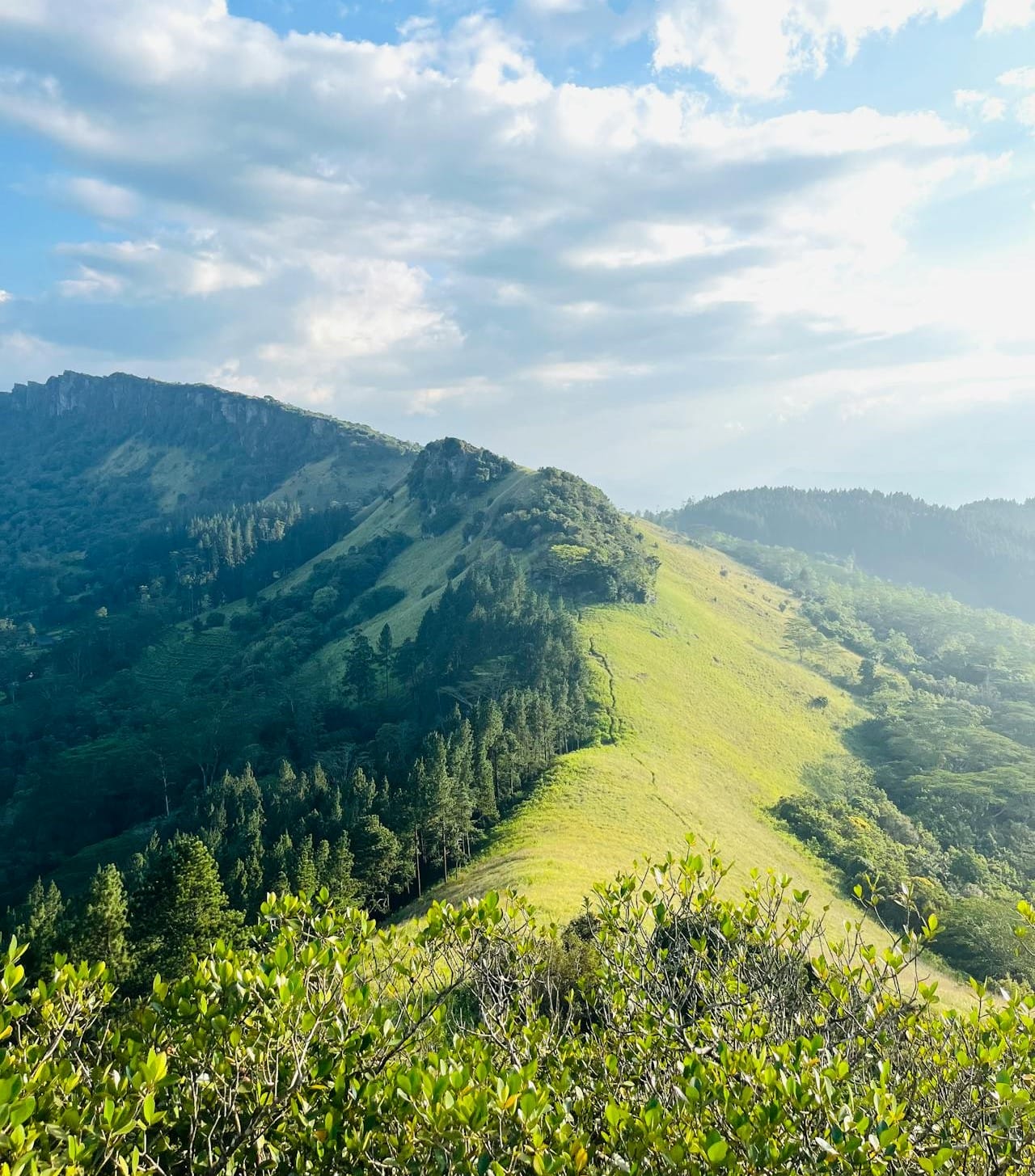 Hanthana Trekking/ Hike